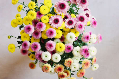 background of colorful field flowers