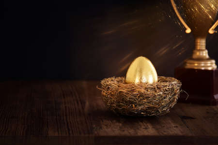 golden egg in nest. Concept of investments, savings and pensions