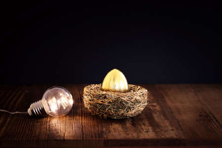 golden egg in nest. Concept of investments, savings and pensionsの写真素材