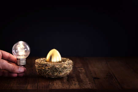golden egg in nest. Concept of investments, savings and pensions