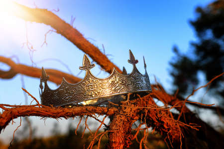 mysterious and magical photo of king crown in the England woods over old tree branch. Medieval...