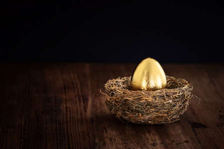 golden egg in nest. Concept of investments, savings and pensionsの写真素材
