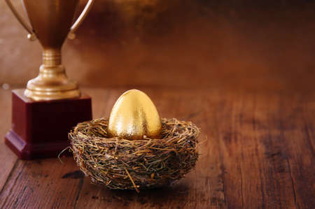 golden egg in nest. Concept of investments, savings and pensions