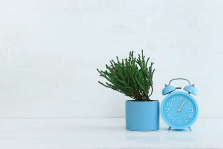 Interior image of wooden table with green plant over white wall backgroundの写真素材