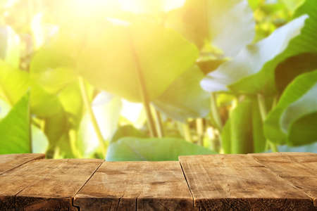 Empty rustic table in front of countryside background. product display and picnic concept