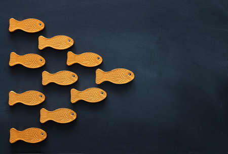 Leadership concept with swimming fish over blackboard background. One leader leads othersの写真素材