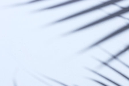 Image of blurry abstract background with palm leaves shadow over a textured white wall