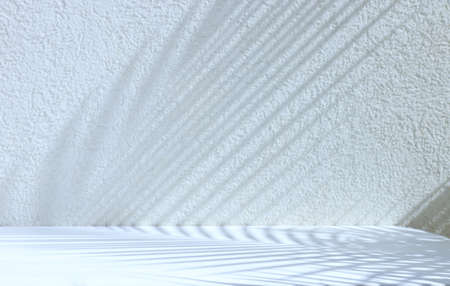 Textured wall with Palm tree shadow and wooden white table. Product display and presentation backgroundの写真素材