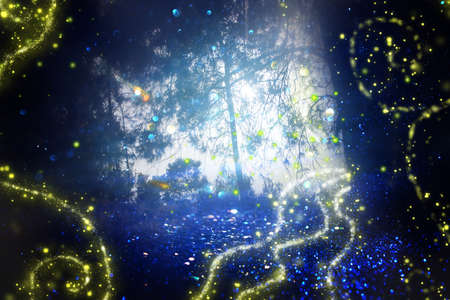 Abstract and magical image of Firefly flying in the night forest. Fairy tale conceptの写真素材