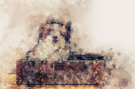 watercolor style and abstract illustration of adorable shi tzu puppy sitting in a suitcaseの写真素材