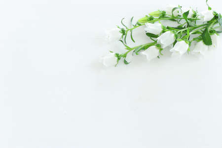 spring bouquet of white bell flowersの写真素材