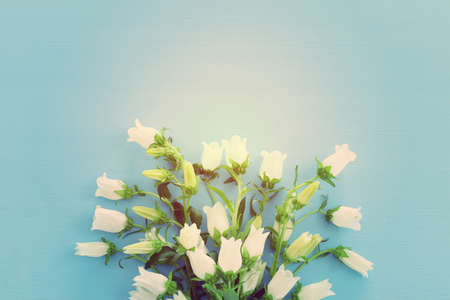 spring bouquet of white bell flowers over blue backgroundの写真素材