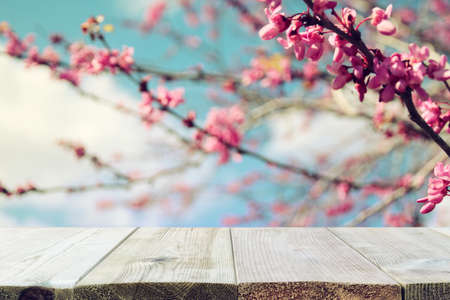 wooden table in front of spring blossom tree landscape. Product display and presentationの写真素材