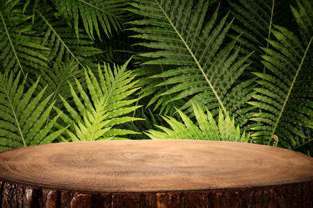 wooden table in front of tropical green floral background. for product display and presentation.の写真素材