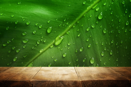 wooden table in front of tropical green floral background. for product display and presentation.