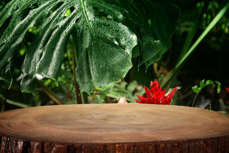 wooden table in front of tropical green Monstera leaves floral background. for product display and presentationの写真素材