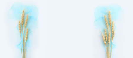 Creative image of beautiful wheat crops on artistic ink background. Top view with copy space. Symbols of jewish holiday - Shavuotの写真素材