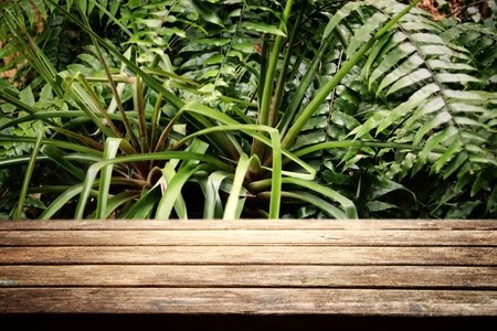 wooden table in front of tropical green floral background. for product display and presentation.の写真素材