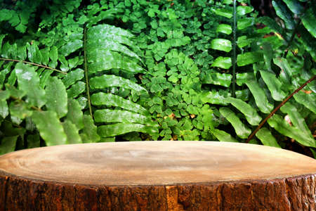 wooden table in front of tropical green floral background. for product display and presentation.の写真素材