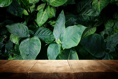wooden table in front of tropical green floral background. for product display and presentation.の写真素材
