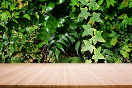 wooden table in front of tropical green floral background. for product display and presentation.の写真素材