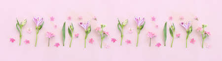 Top view image of pink and purple flowers composition over pastel background .Flat lay. Bannerの写真素材