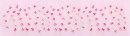 Top view image of pink flowers composition over pastel background .Flat lay. Banner