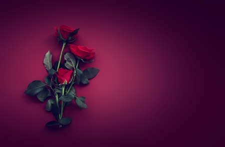 Red background with rose. Top viewの写真素材