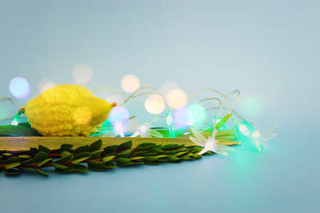 Jewish festival of Sukkot. Traditional symbols (The four species): Etrog (citron), lulav (palm branch), hadas (myrtle), arava (willow)の写真素材