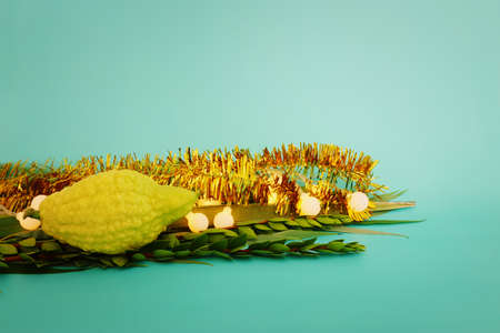 Jewish festival of Sukkot. Traditional symbols (The four species): Etrog (citron), lulav (palm branch), hadas (myrtle), arava (willow)の写真素材