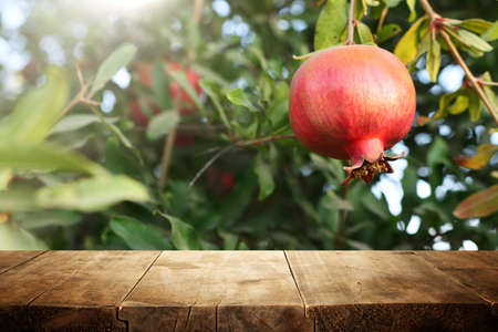 vintage wooden board table in front of pomegranate tree landscape. Product display presentationの写真素材