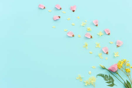 Top view image of pink, yellow and purple flowers composition over pastel blue background .Flat lay