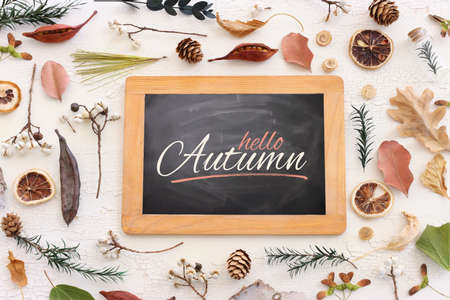 Top view image of autumn forest natural composition over wooden white background .Flat lay. Bannerの写真素材