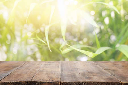 wooden table in front of tropical green floral background. for product display and presentation.の写真素材