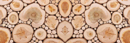 wooden background with texture of many tree trunks