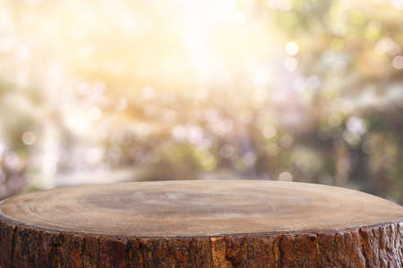 Empty rustic table in front of countryside background. product display and picnic conceptの写真素材