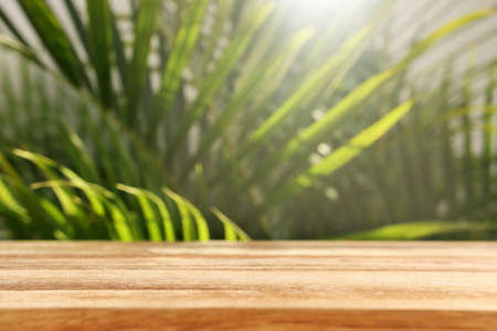 wooden table in front of tropical green floral background. for product display and presentation.の写真素材