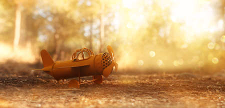 Magical image of vintage airplane in the forest at sunsetの写真素材