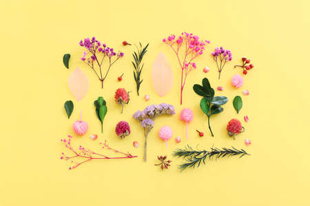 Top view image of pink, purple and green flowers composition over pastel yellow background .Flat lay