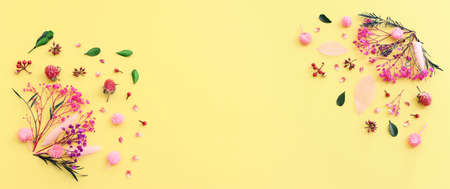 Top view image of pink, purple and green flowers composition over pastel yellow background .Flat layの写真素材