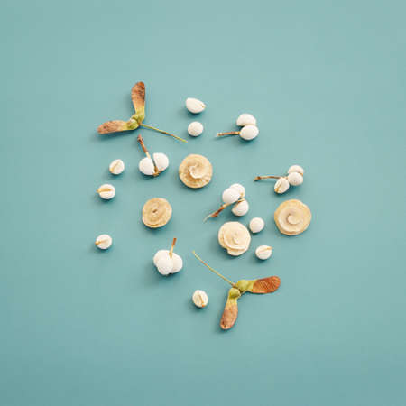 Top view image of autumn forest natural composition over blue background .Flat layの写真素材