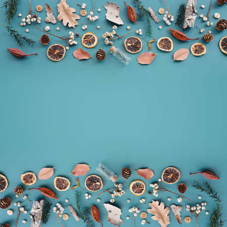 Top view image of autumn forest natural composition over blue background .Flat layの写真素材