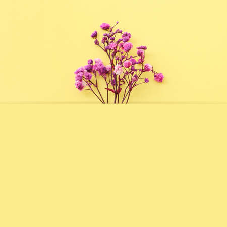 Top view image of pink and purple flowers composition over pastel yellow background .Flat layの写真素材