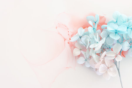 Creative image of pastel blue and pink Hydrangea flowers on artistic ink background. Top view with copy spaceの写真素材