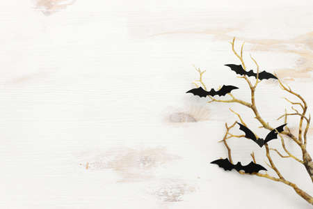 top view image of Halloween holoday. bare trees, bats over white wooden backgroundの写真素材