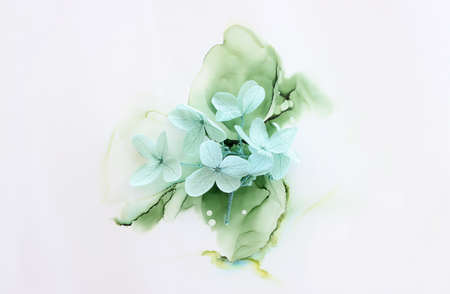 Creative image of pastel mint Hydrangea flowers on artistic ink background. Top view with copy space
