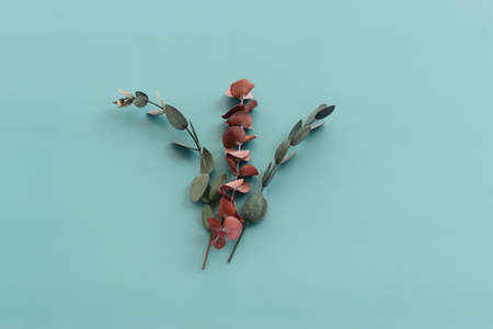 Top view image of autumn forest natural composition with yugali plant over blue background .Flat layの写真素材