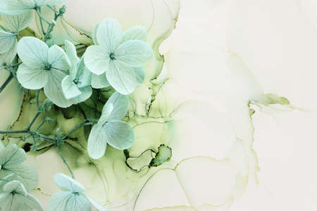 Creative image of pastel mint green Hydrangea flowers on artistic ink background. Top view with copy spaceの写真素材