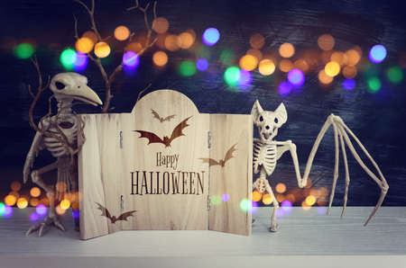holidays image of Halloween. spiders, skeletons and wooden board frame with textの写真素材