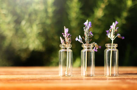 Concept image of bottle with herbsの写真素材